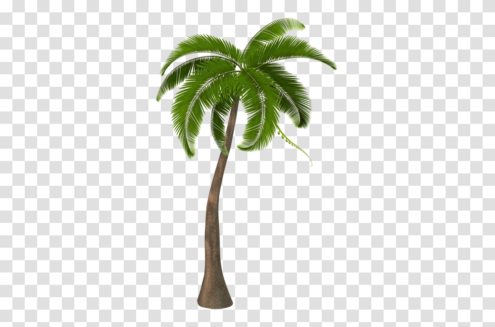 Pixels Palm Tree Palm, Plant, Green, Arecaceae, Leaf Transparent Png