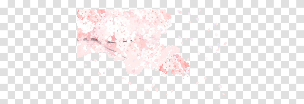 Pixels Size Nicole Dominguez Photos Cherry Cherry Blossom Anime, Plant, Flower, Petal, Plot Transparent Png