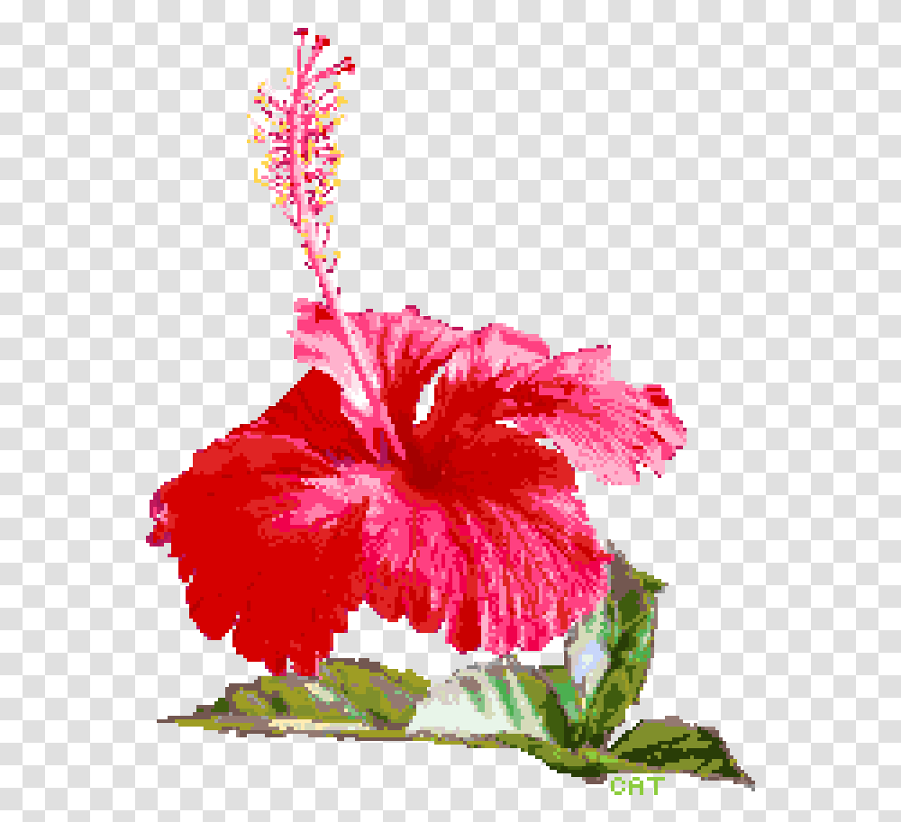 Pixilart By Catsorfries Background Hawaiian Hibiscus, Plant, Flower, Blossom Transparent Png
