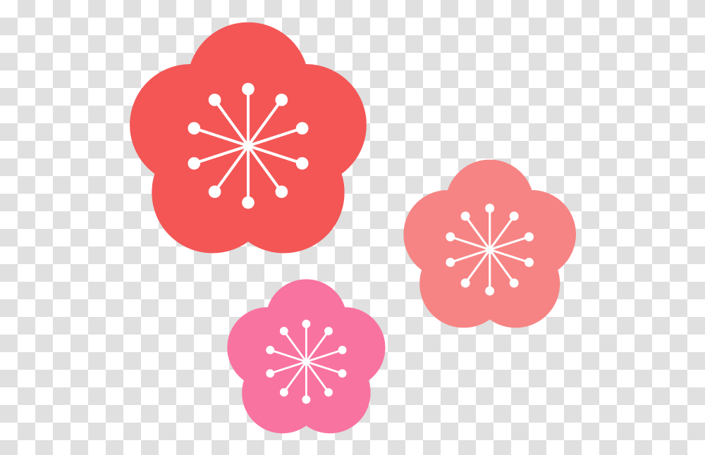 Pixta, Plant, Petal, Flower, Blossom Transparent Png