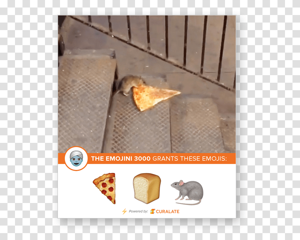 Pizzarat Cat, Mammal, Animal, Rodent Transparent Png