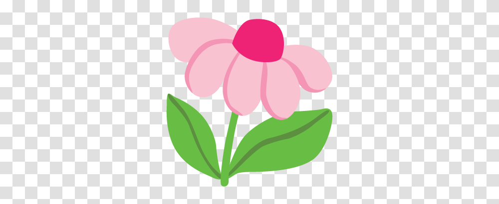 Place Attention On Breathing, Plant, Flower, Blossom, Petal Transparent Png