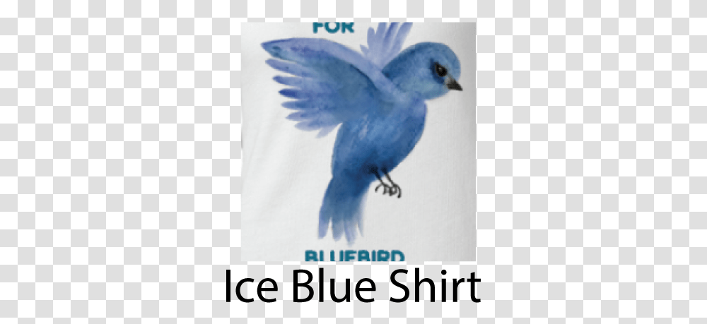 Placecast, Bluebird, Animal, Jay, Blue Jay Transparent Png