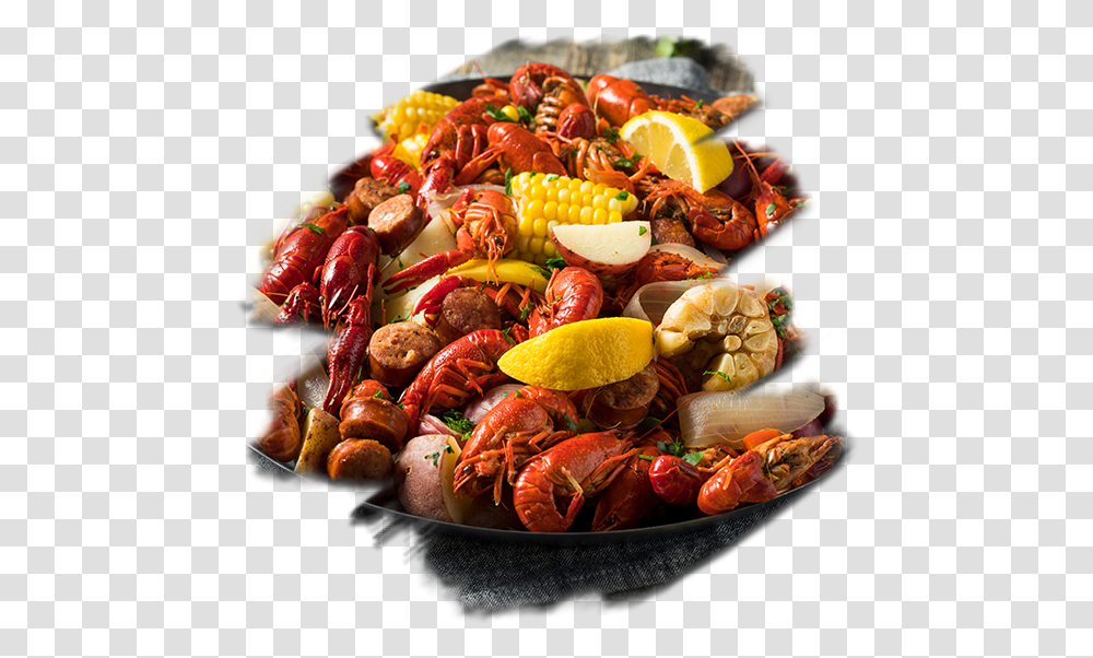 Placeholder Crawfish Boil, Lobster, Seafood, Sea Life, Animal Transparent Png