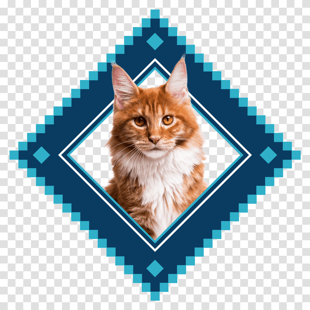 Placeholder Image, Logo, Trademark, Cat Transparent Png