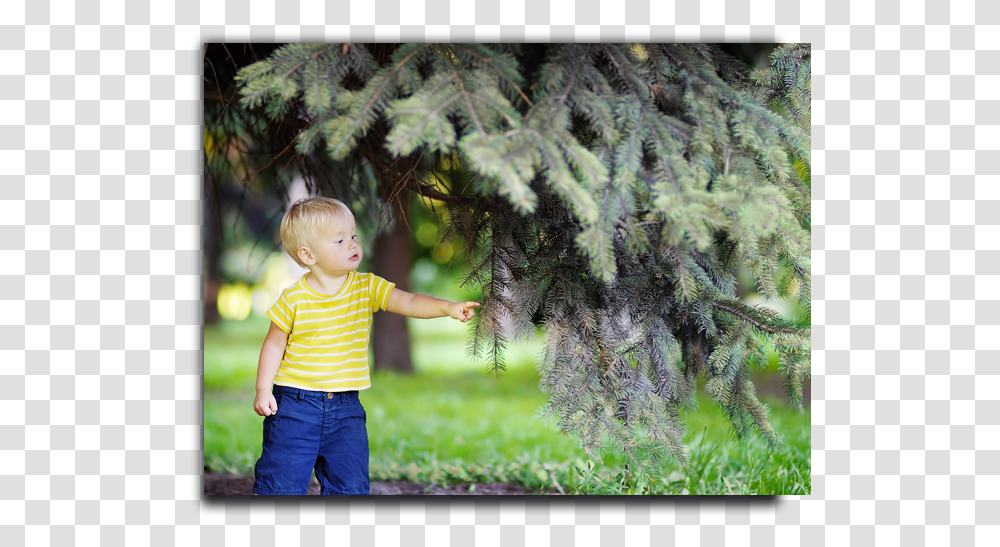 Placeholder Image Toddler, Person, Tree, Plant, Pants Transparent Png