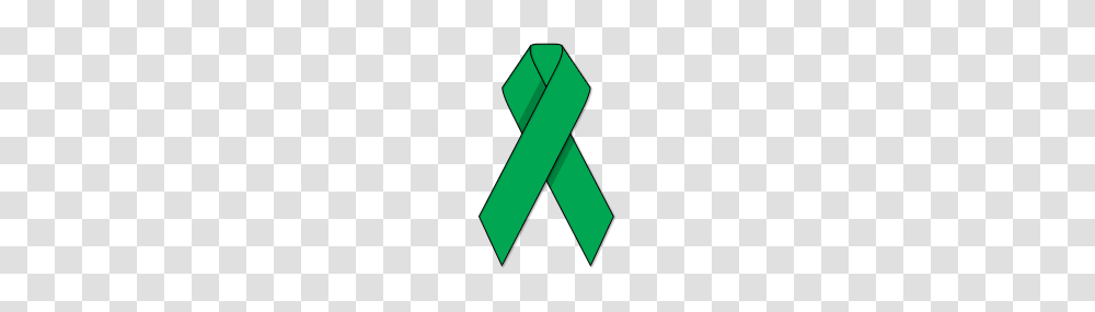 Plain Green Ribbon, Label, Word Transparent Png