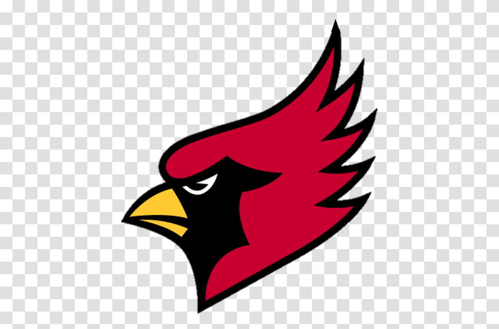 Plainville Usd, Angry Birds Transparent Png