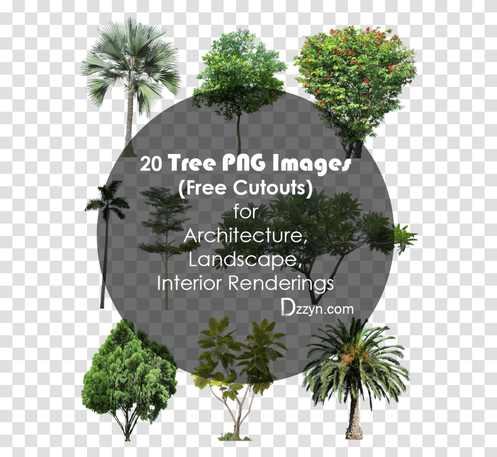 Plan Clipart Landscape Architect Picture 1909752 High Resolution Tree For Photoshop, Vegetation, Plant, Rainforest, Outdoors Transparent Png