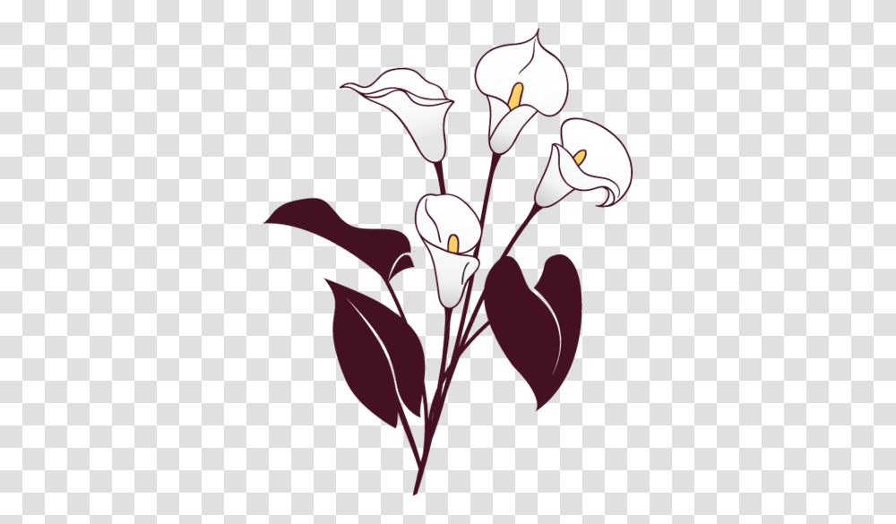 Plan Funeral, Plant, Flower, Blossom, Petal Transparent Png