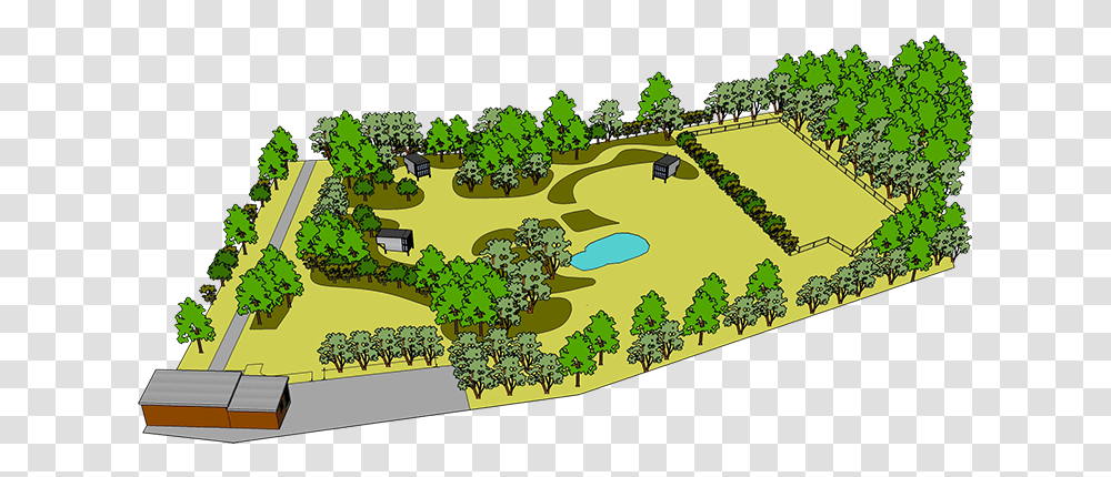 Plan, Outdoors, Vegetation, Plant, Grass Transparent Png