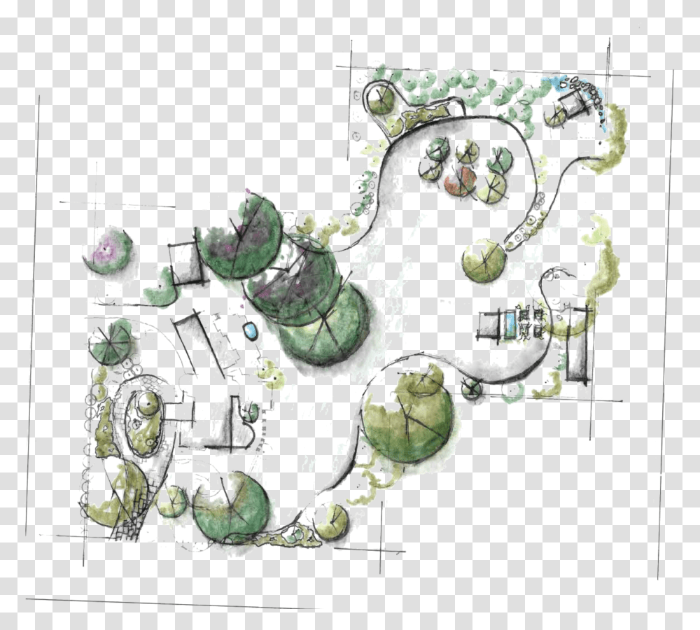 Plan, Plant, Painting, Doodle Transparent Png