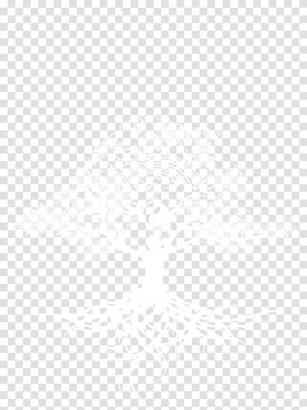 Plan White, Root, Plant, Cross Transparent Png