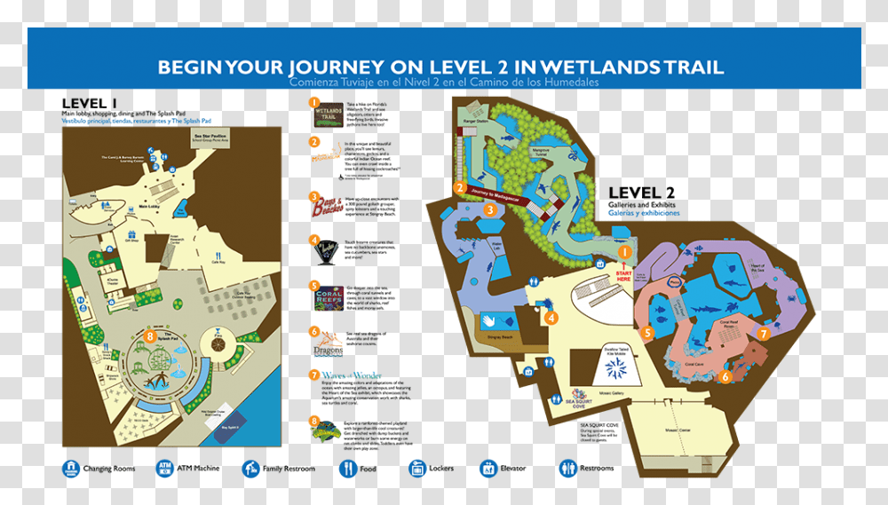 Plan Your Visit Map Of The Florida Aquarium, Plant, Vegetation, Outdoors, Face Transparent Png