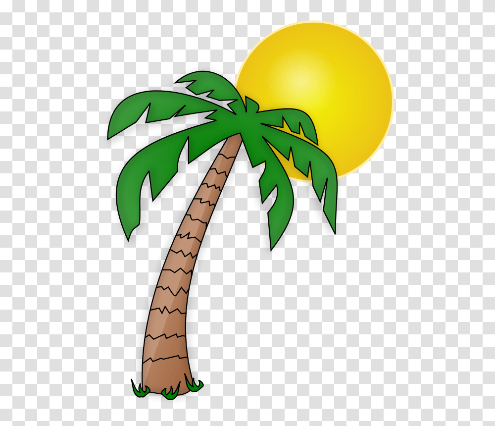Plane Clip Art Download, Tree, Plant, Palm Tree, Arecaceae Transparent Png