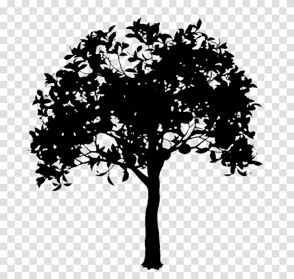 Plane Tree Family, Gray, World Of Warcraft Transparent Png