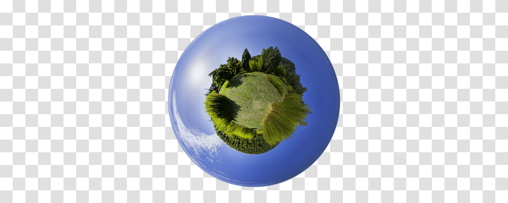 Planet Nature, Sphere, Moss, Plant Transparent Png