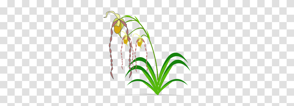 Planet Open Clip Art Library, Plant, Tree, Flower, Blossom Transparent Png