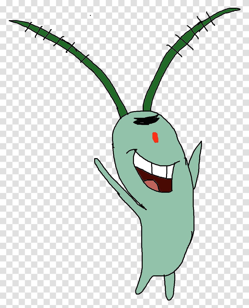 Plankton, Insect, Invertebrate, Animal, Cricket Insect Transparent Png