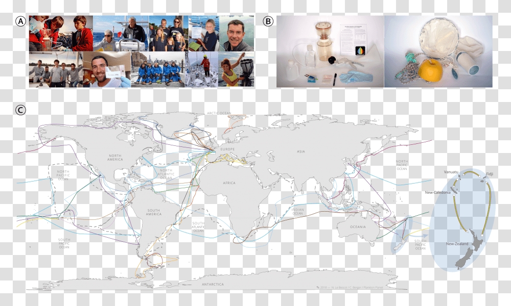 Plankton, Person, Human, Map, Diagram Transparent Png