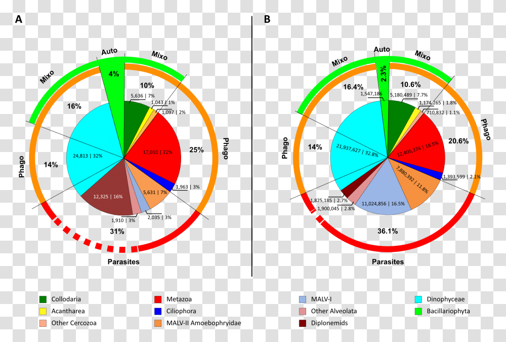 Plankton, Plot, Diagram, Number Transparent Png