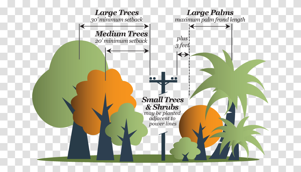 Planning Designworks Urban Forestry Place Illustration, Poster, Advertisement, Flyer, Paper Transparent Png