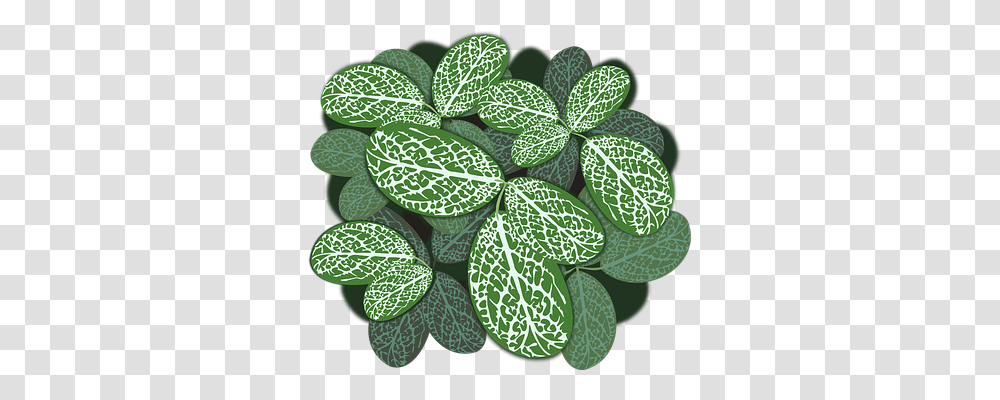 Plant Nature, Leaf, Food, Rug Transparent Png