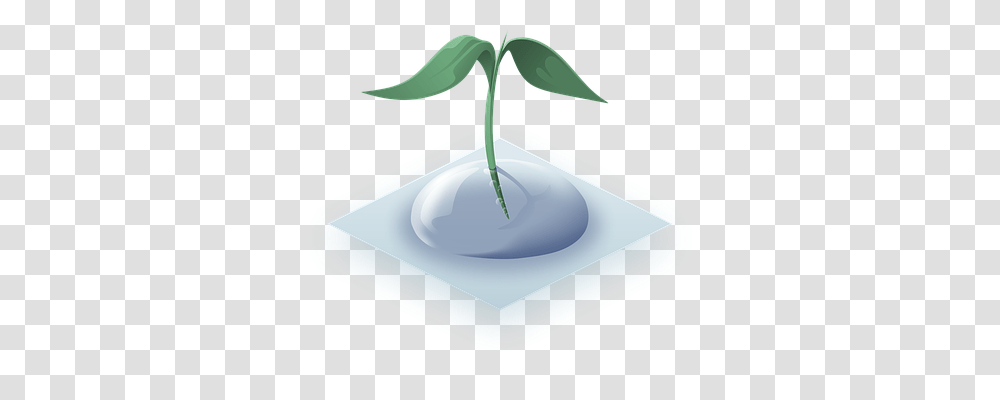 Plant Nature, Tree, Sink, Conifer Transparent Png