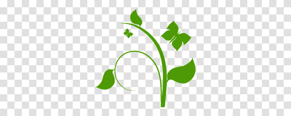 Plant Nature, Green, Leaf, Flower Transparent Png