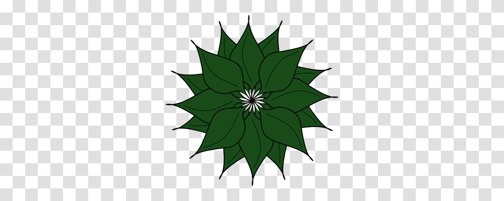 Plant Nature, Pattern, Ornament, Fractal Transparent Png