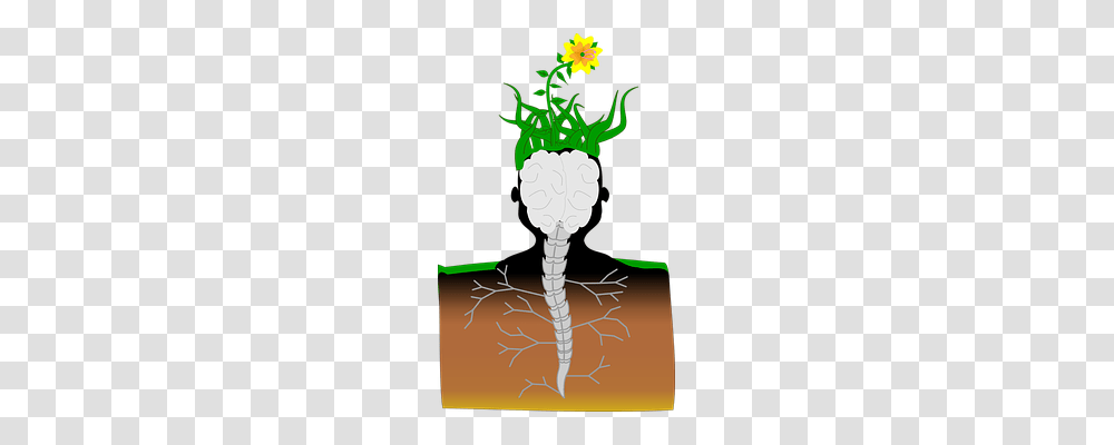 Plant Nature, Reptile, Animal, Snake Transparent Png