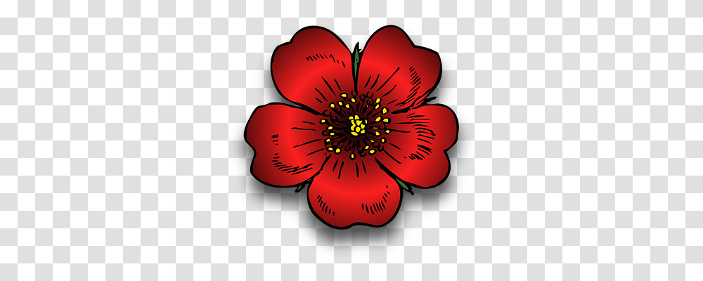 Plant Nature, Anther, Flower, Blossom Transparent Png