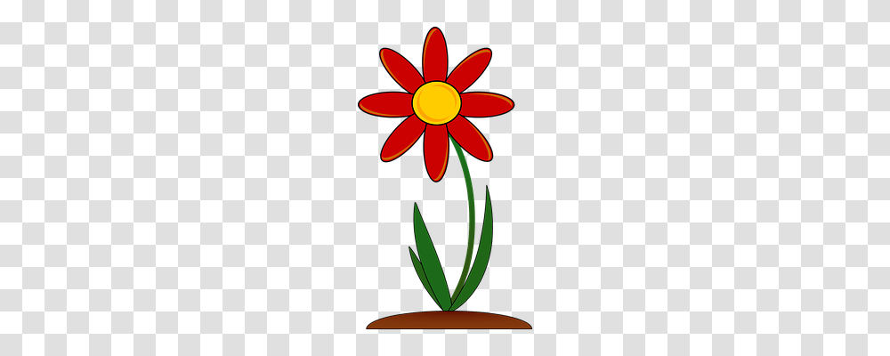 Plant Nature, Flower, Daisy, Scissors Transparent Png