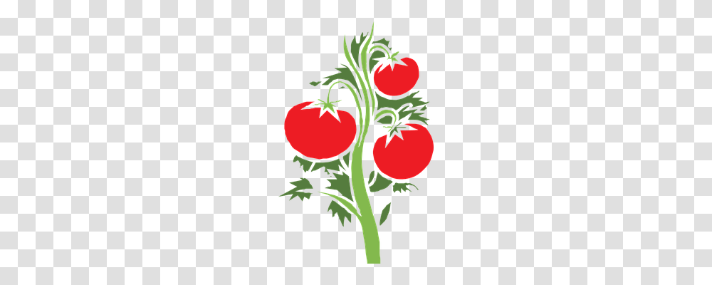 Plant Nature, Vegetable, Food, Tomato Transparent Png