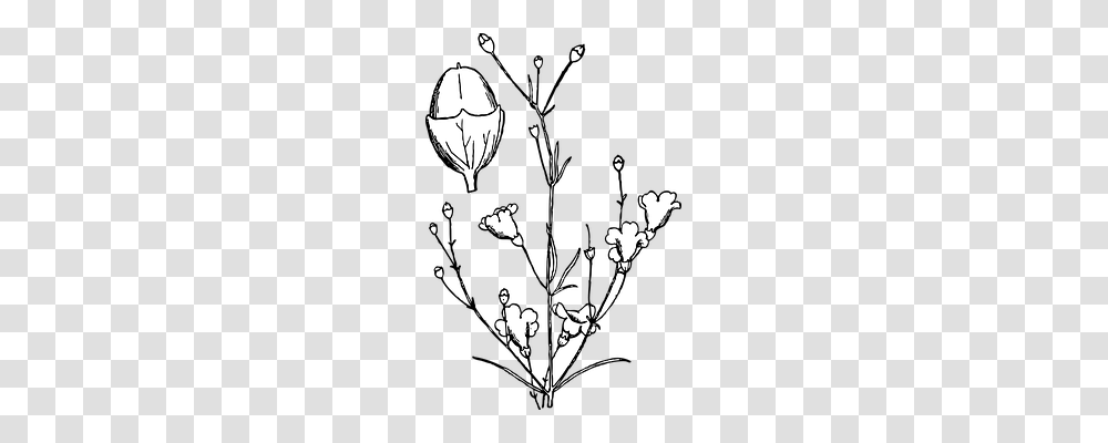 Plant Nature, Flower, Blossom, Chandelier Transparent Png