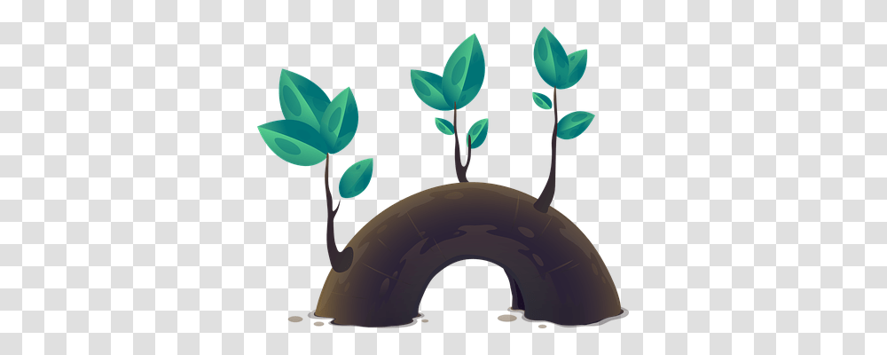 Plant Nature, Helmet, Lamp, Food Transparent Png