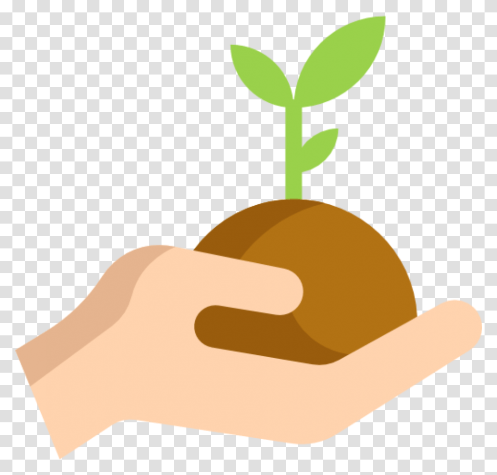 Plant A Tree Icon Clipart Download Plant Growing In Hand Icon, Produce, Food, Vegetable, Grain Transparent Png
