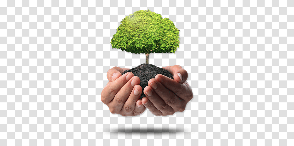 Plant A Tree Or Forest Green India Clean India Logo, Person, Human, Potted Plant, Vase Transparent Png