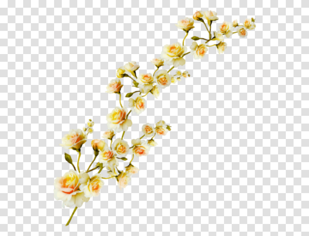 Plant Aesthetic Clipart Free Download Ya Yellow Flowers Aesthetic, Blossom, Petal, Popcorn, Food Transparent Png