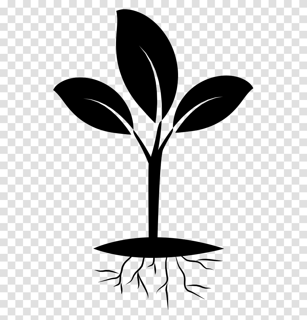 Plant And Root Icon Free Download, Lamp, Stencil, Silhouette Transparent Png