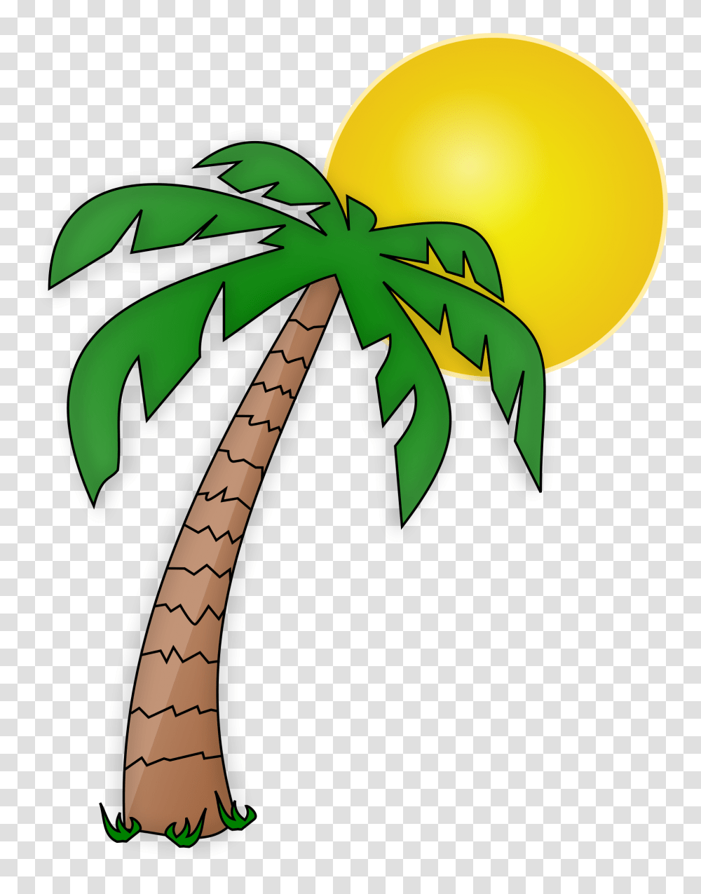 Plant And Sun Images, Tree, Palm Tree, Arecaceae, Vegetation Transparent Png