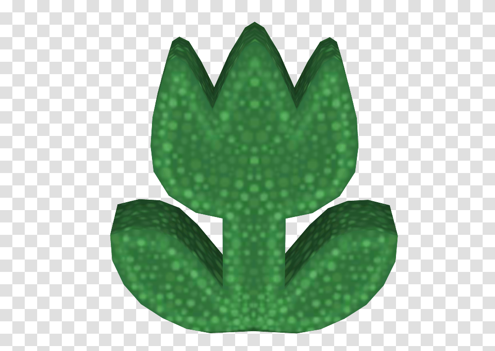 Plant, Animal, Cactus, Amphibian Transparent Png