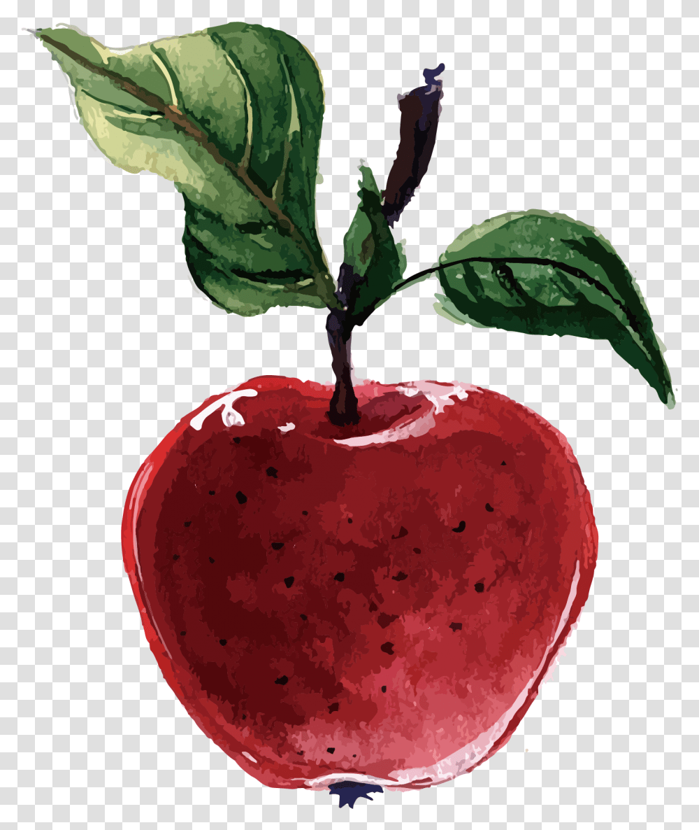 Plant Apple Illustration, Fruit, Food, Cherry, Leaf Transparent Png