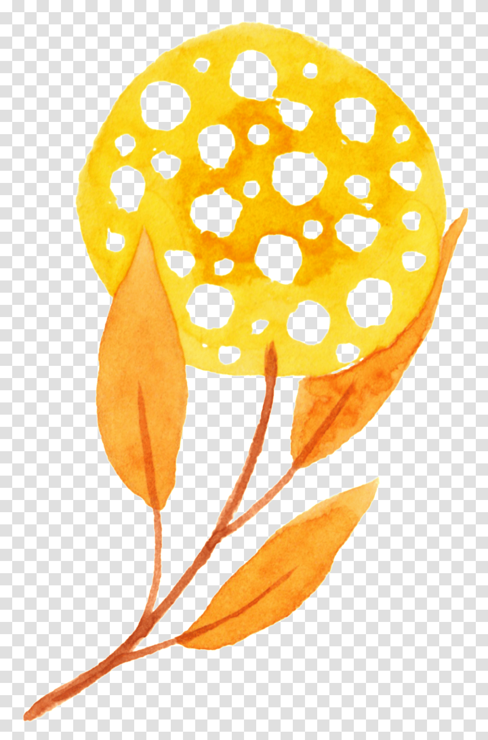 Plant Autumn Free Buckle Dot, Face, Animal, Clothing, Apparel Transparent Png