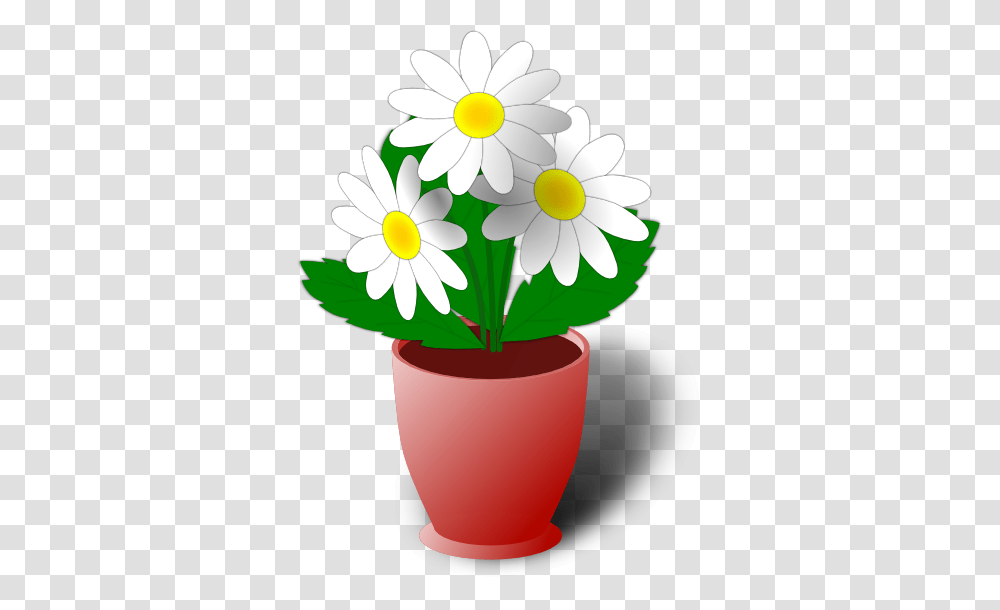 Plant Background Clipart Collection, Flower, Blossom, Daisy, Daisies Transparent Png