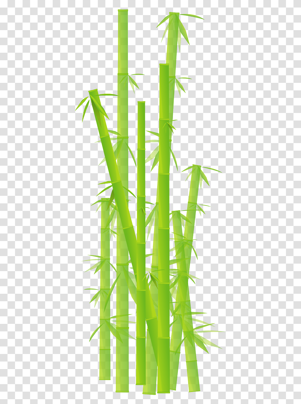 Plant, Bamboo, Construction Crane Transparent Png