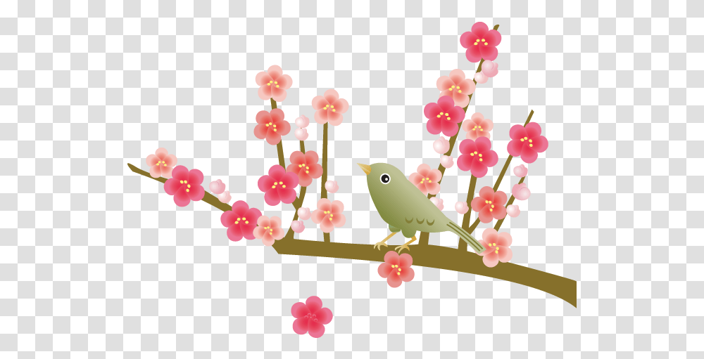 Plant, Bird, Animal, Flower Transparent Png