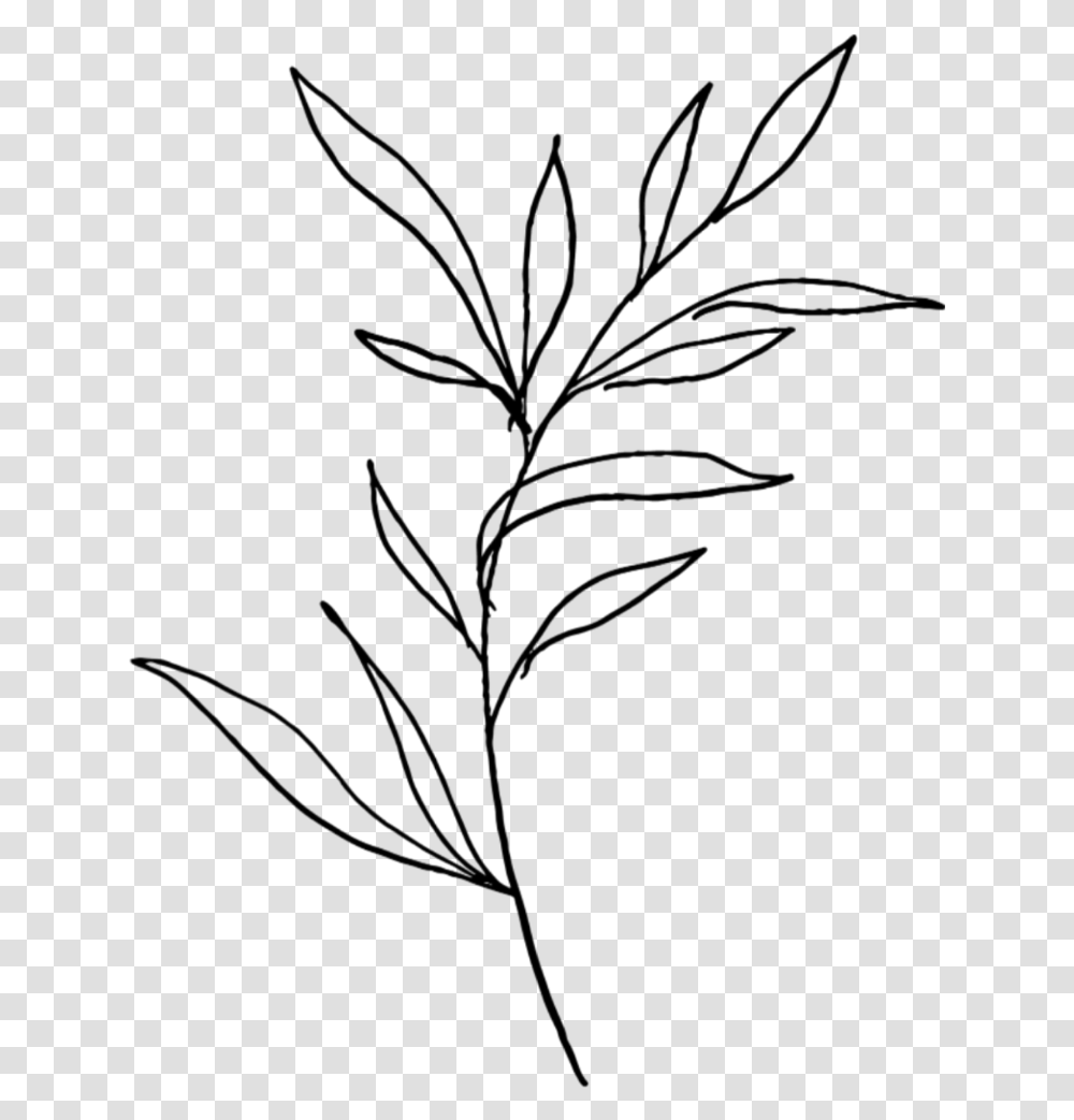 Plant Black And White Simple, Gray, World Of Warcraft Transparent Png