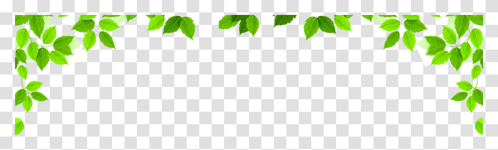 Plant Border, Leaf, Vine, Ivy, Tree Transparent Png
