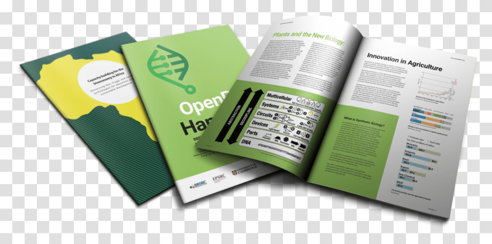 Plant Brochure, Book, Advertisement, Flyer, Poster Transparent Png